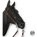 DP SF HS Western Plain