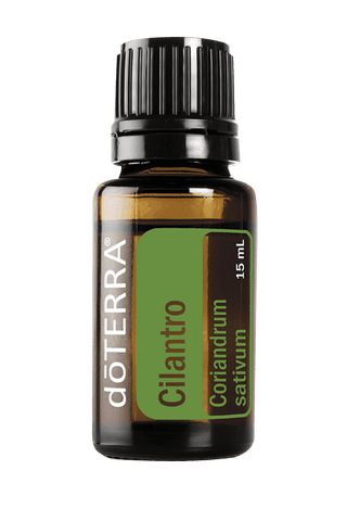 Cilantro 15ml