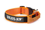 Julius K9 Color & Gray Collar with Handle
